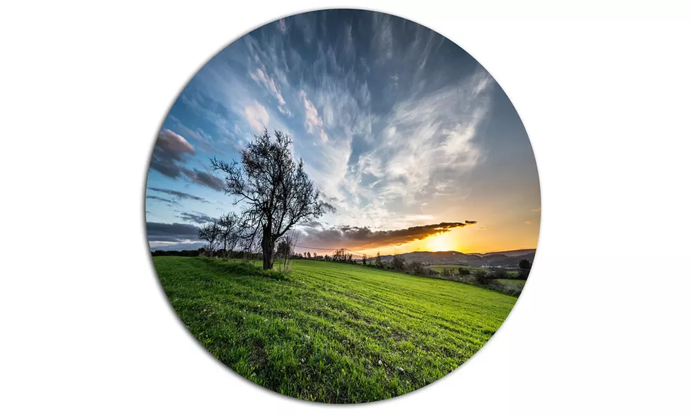 Green Grass Field in Sardinia' Disc Landscape Metal Circle Wall Art - Second Medium