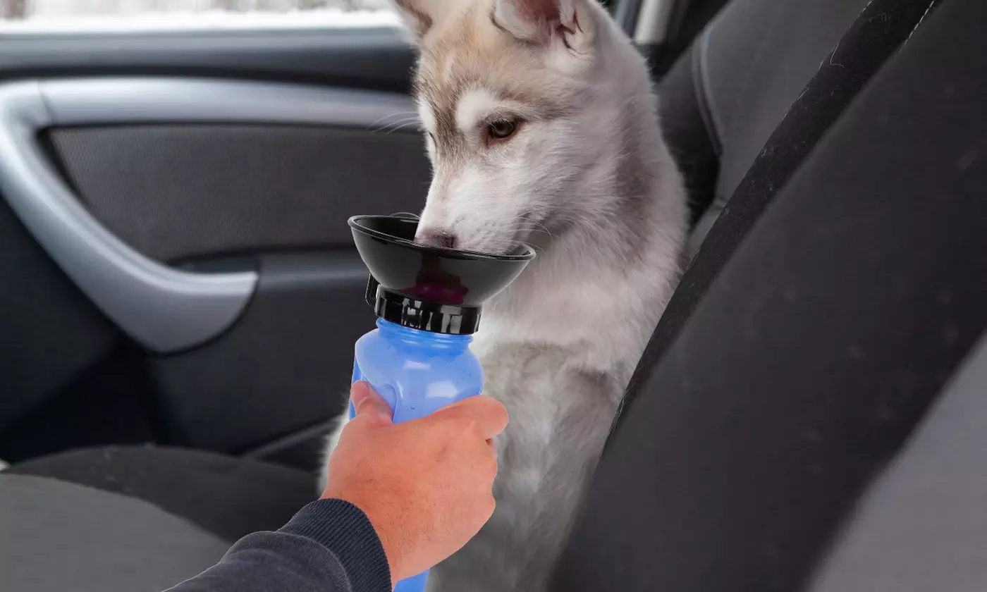 iMounTEK 500ml Pet Travel Water Bottle Dog Drink Cup & Water Dispenser