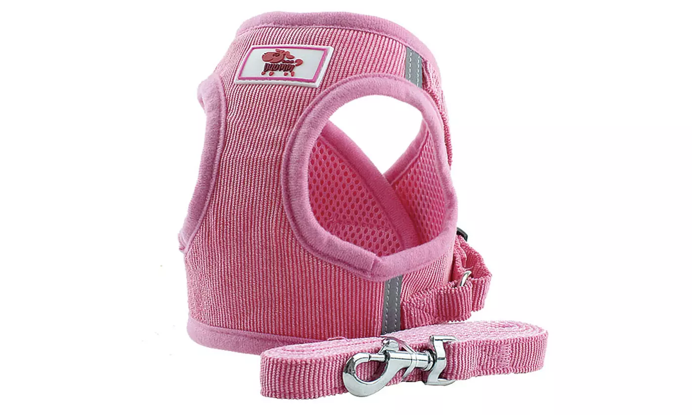 Cat Dog Pet Harness Leash Set Adjustable Control Vest Dogs Reflective XS M L XL