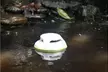 COWIN Swimmer IPX7 Floating Waterproof Bluetooth Pool Speaker Portable   - Second Medium
