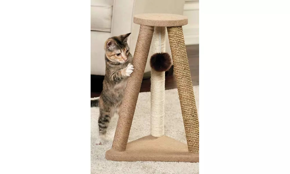 Animal Planet Cat Scratcher with Fur Toy - Primary Image