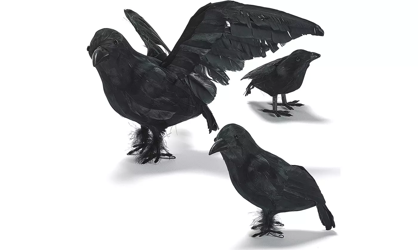Halloween Decoration Realistic Looking 3 PC Birds Black Feathered Crows Prop - Primary Image