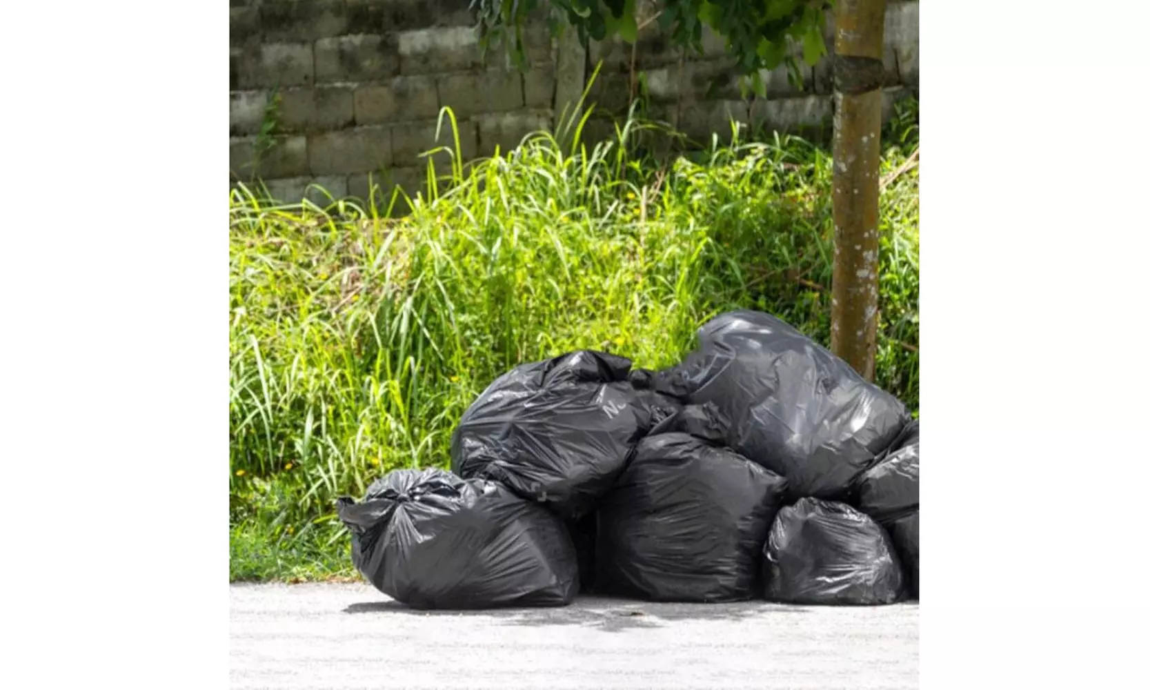 Ultra-thick Garbage Bag, Black - Primary Image
