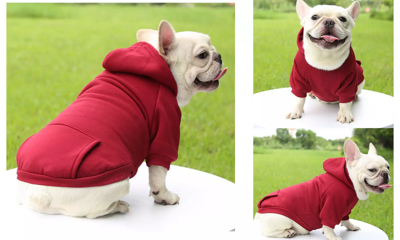 Fall Winter Dog Hoodie Sweatshirts Coat with Pocket for Dogs Puppy Cat