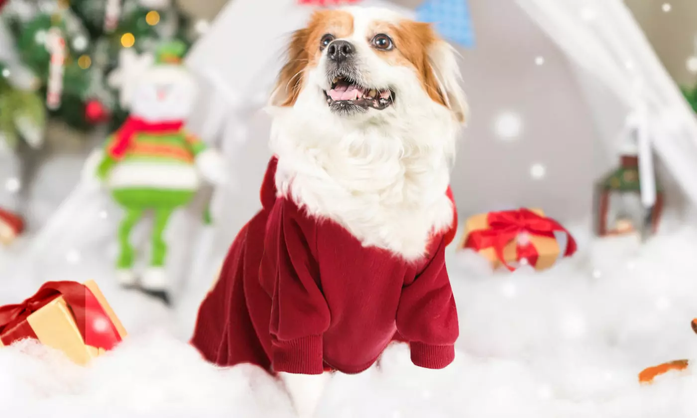Winter Dog Hoodie Sweatshirts with Pockets Warm Dog Clothes for Small Dogs