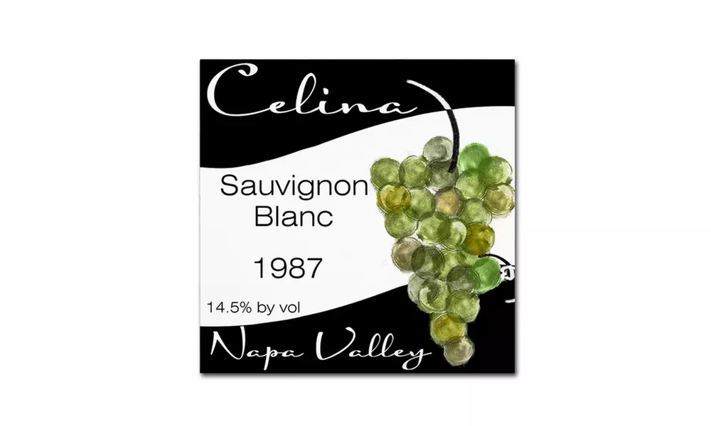 Color Bakery 'Wine Valley One' Canvas Art - Primary Image