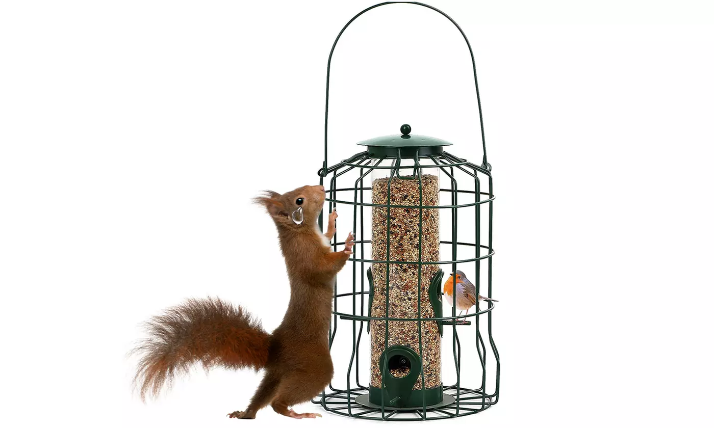 iMounTEK Squirrel-Proof Bird Feeder Hanging Wild Bird Feeder (Multi-Options)