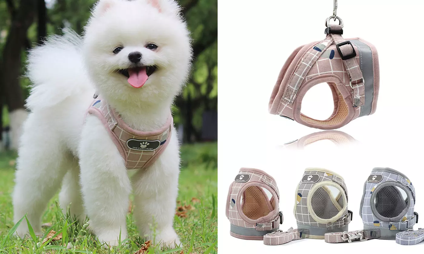Pet Small Dog Puppy Harness Breathable Mesh And Leash Set Vest Chest Strap XS-XL - Primary Image