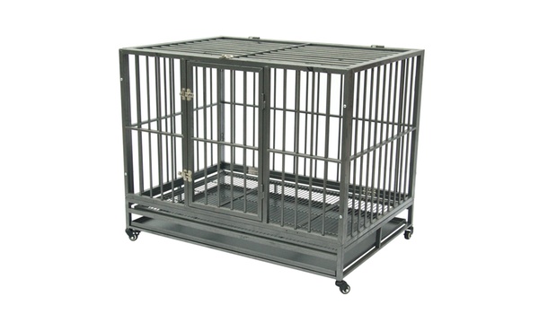 Groupon 2024 dog crate