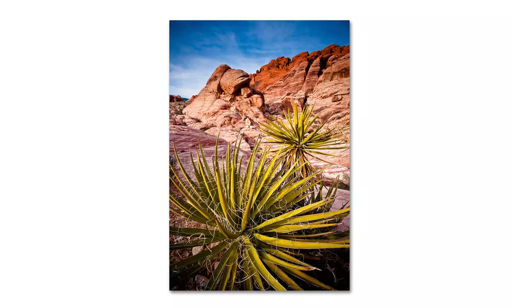 Dan Ballard 'Red Rocks' Canvas Art - Second Medium