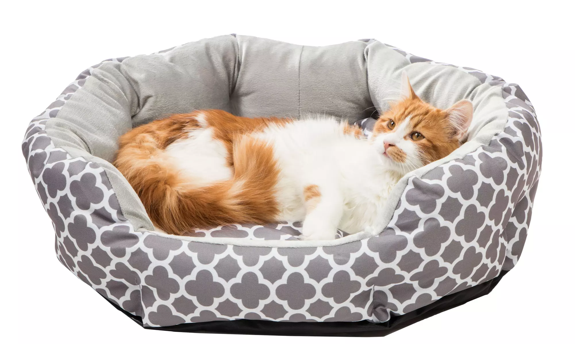 Wags and Whiskers Orthopedic Round Pet Bed - Primary Image