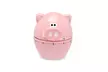 Piggy Wiggy 60 Minute Kitchen Time Oink Pig - Second Medium