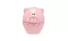 Piggy Wiggy 60 Minute Kitchen Time Oink Pig