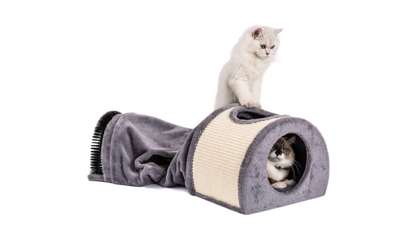 Groupon cat outlet bed