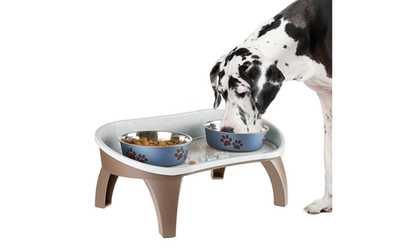 Elevated Non Skid Pet Feeding Tray with Splash Guard  21 x 11 x 8.5 Dogs Cats