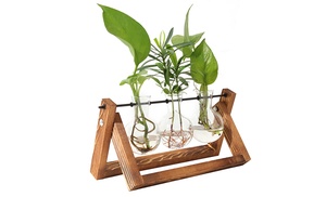 iMounTEK Glass Planter Bulb P...