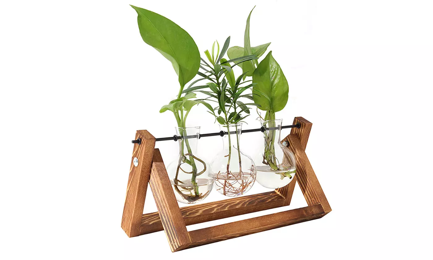 iMounTEK Glass Bulb Terrarium Propagation Station with 3 Vases and Wood Stand