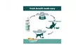 Wellnergy Pets Dental Care Combo - Second Medium
