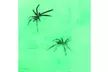 3 Pack Stretchy Spider Web Cobweb Prop for Halloween Festival Decoration Green - Second Medium