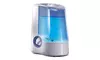 Warm Mist Humidifier, 1 Gallon, Auto Shut-Off, Filter-Free