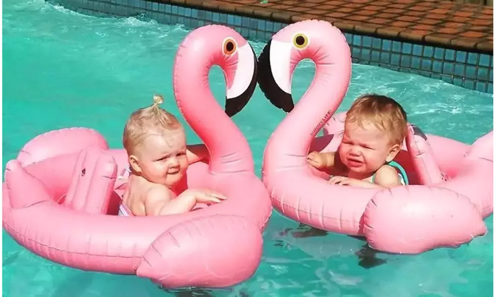 Flamingo Swan Baby Inflatable Swim Float - Primary Image