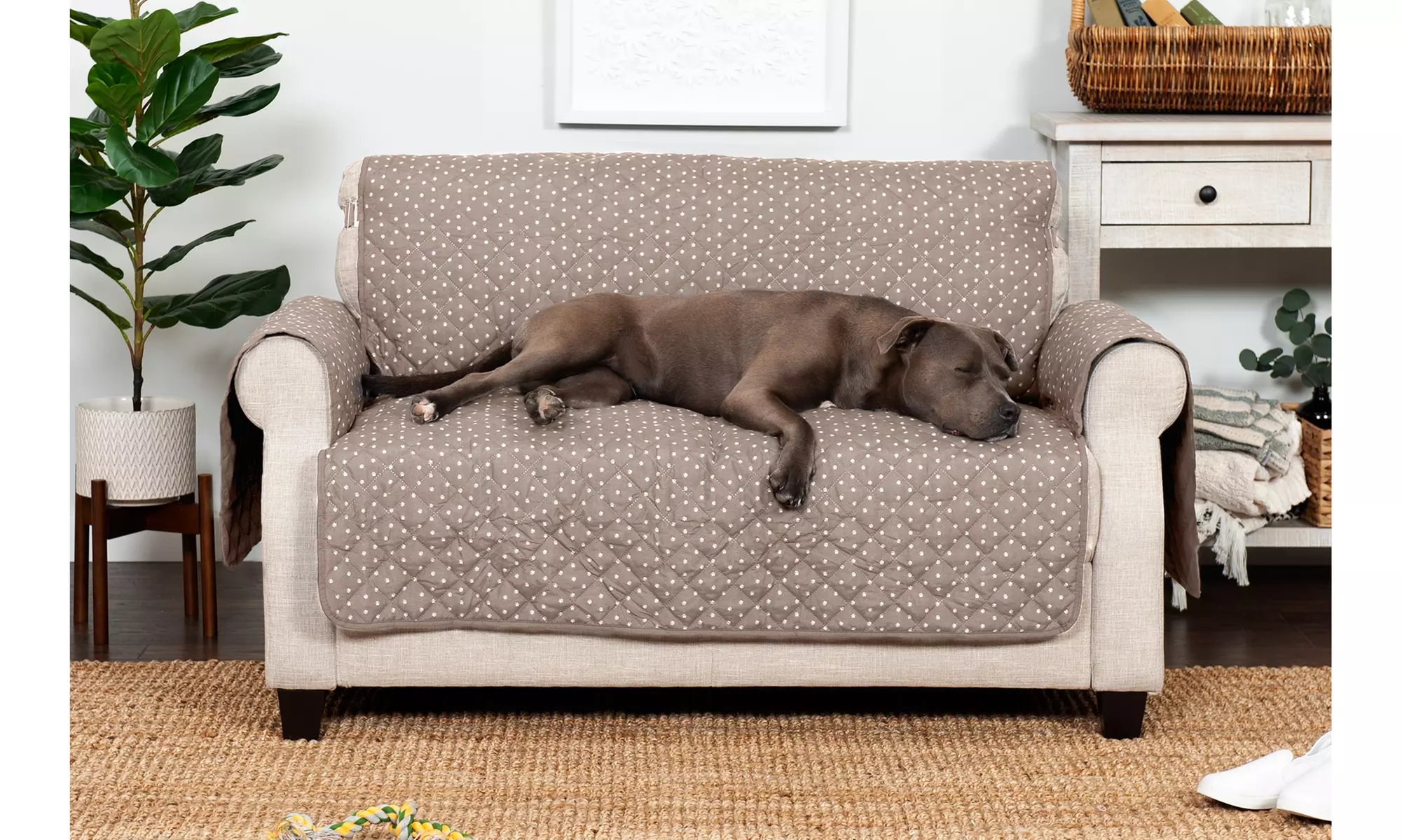 FurHaven Pet Reversible Water-Resistant Furniture Protector for Dogs - Paw Print