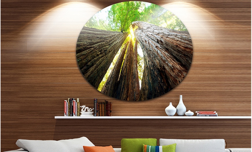 Up To 8% Off on Sequoia Tree' Disc Photograph... | Groupon Goods