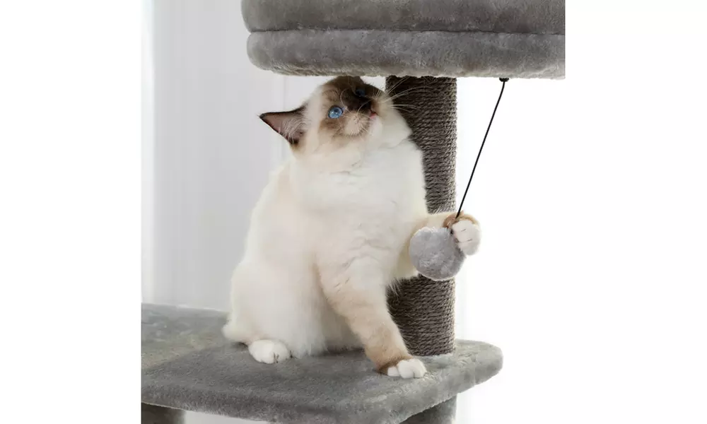 Wooden Cat Tree 4 Levels Platform for Large Cats Featuring - Second Medium