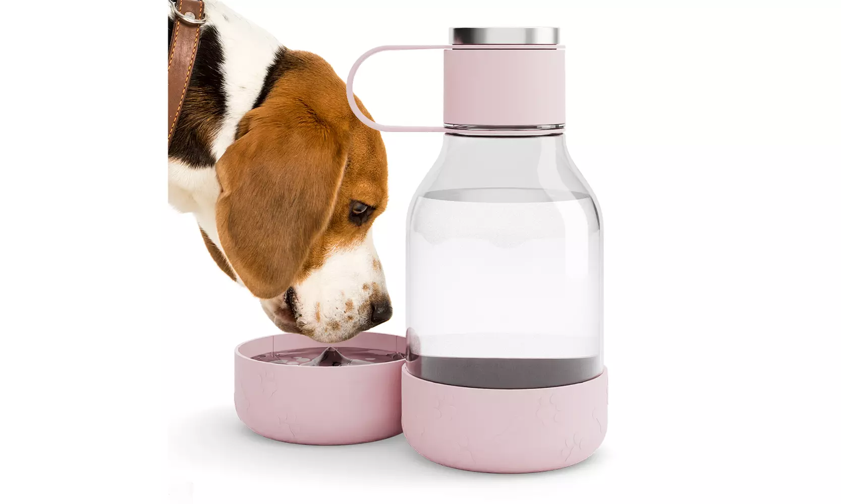 Asobu Tritan Water Bottle with Dog Bowl Attached- 50 Ounces