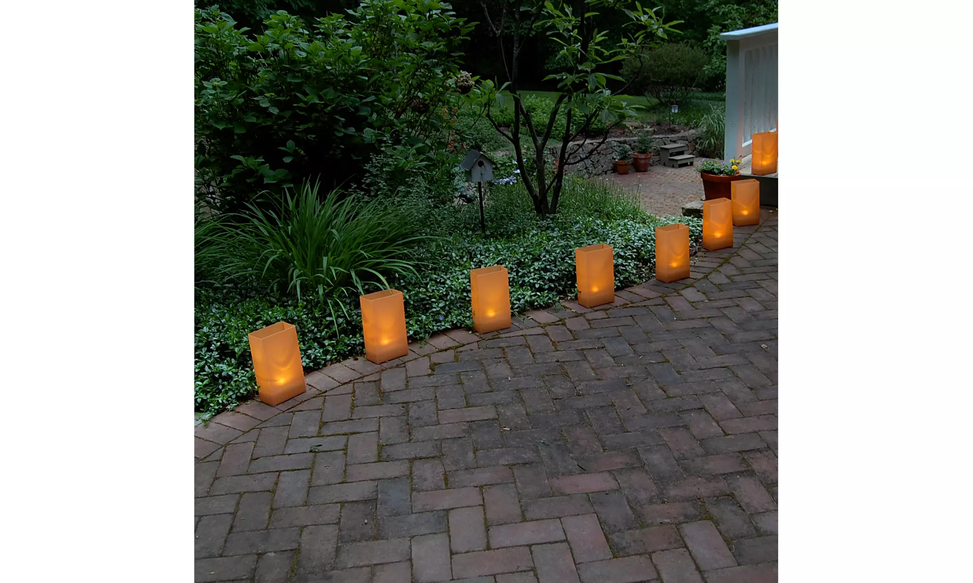 LumaBase Electric Luminaria Kit with LumaBases, Set of 10