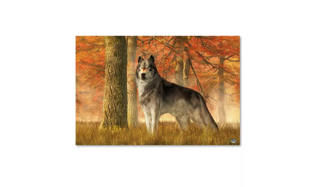 Daniel Eskridge 'A Wolf In Autumn' Canvas Art - Primary Image