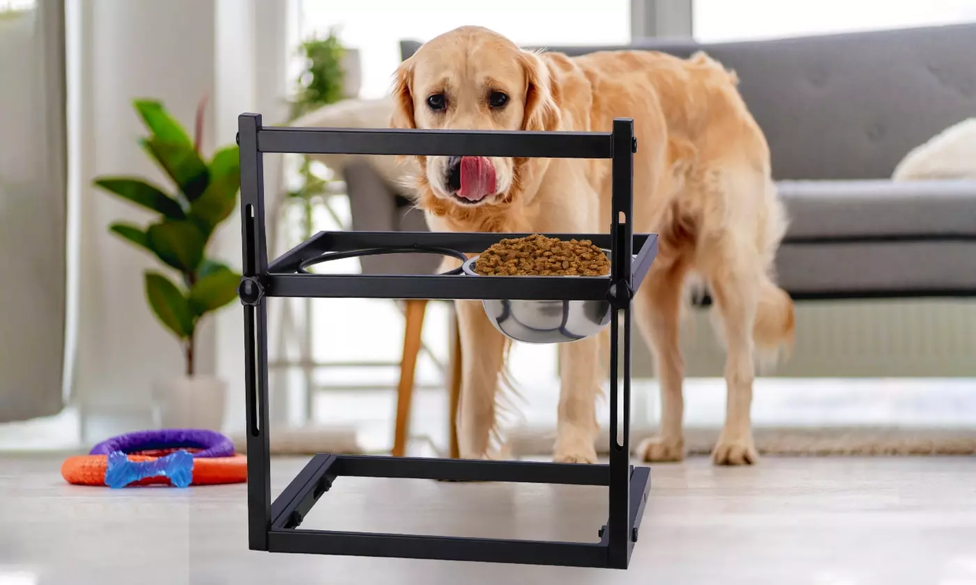 iMounTEK Elevated Dog Bowls Stainless Steel Height Adjustable Raised Dog Bowls