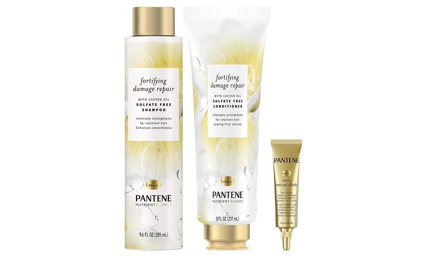 Up To 28 Off On Pantene Sulfate Free Shampoo Groupon Goods   C870x524 