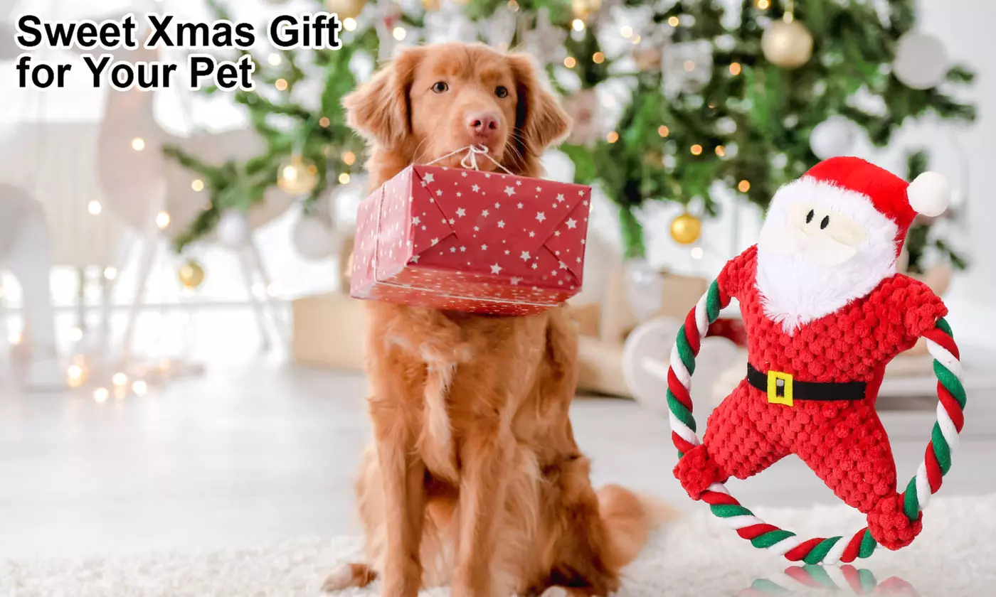 Christmas Santa Claus Rope Squeeky Interactive Plush Dog Toy