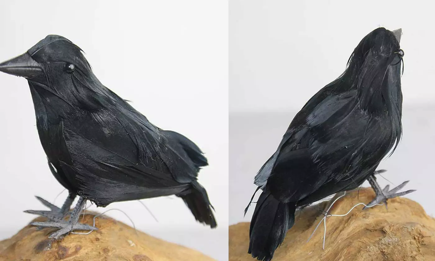 3-Pack Halloween Realistic Feathered Raven Black Crow Props - Second Medium