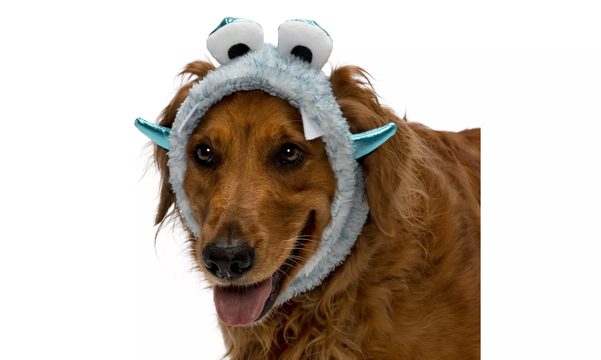 FurHaven Halloween Costume Flex-Fit Pet Costume Hat (Bat, Monster, Polar Bear)