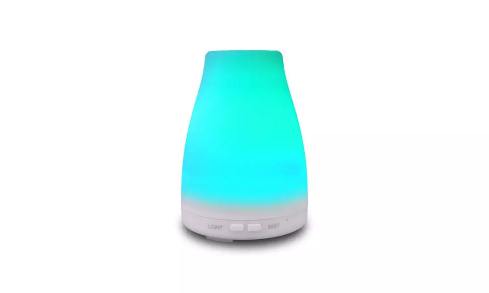 EcoGecko Aromatherapy Essential Oil Diffuser - Primary Image