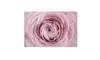 Cora Niele 'Persian Buttercup' Canvas Art
