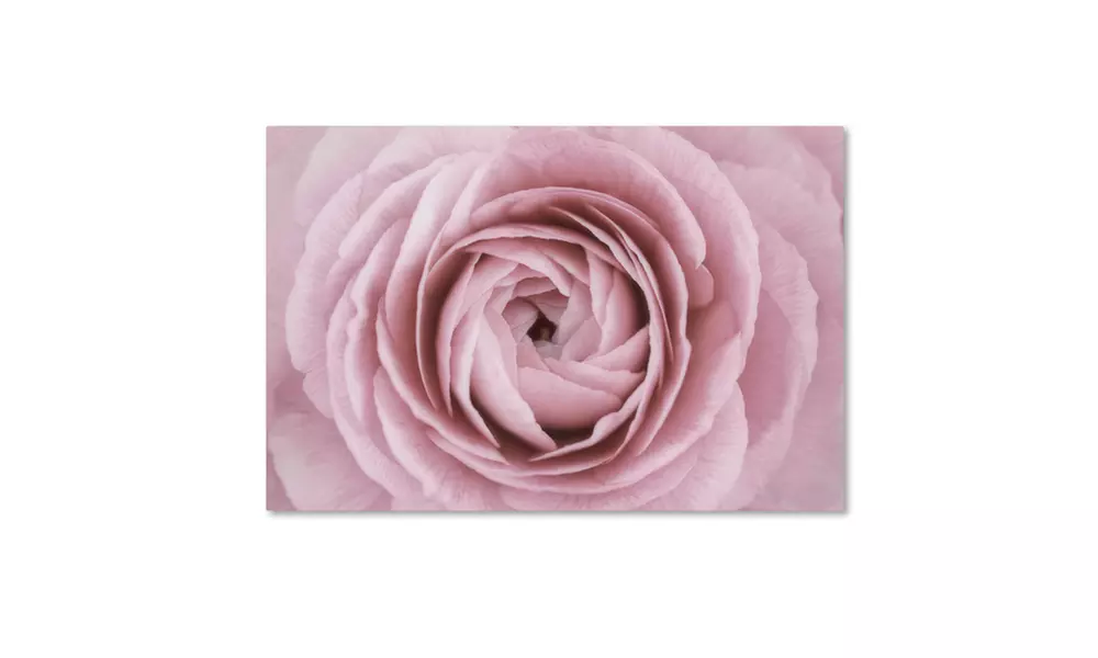 Cora Niele 'Persian Buttercup' Canvas Art - Primary Image