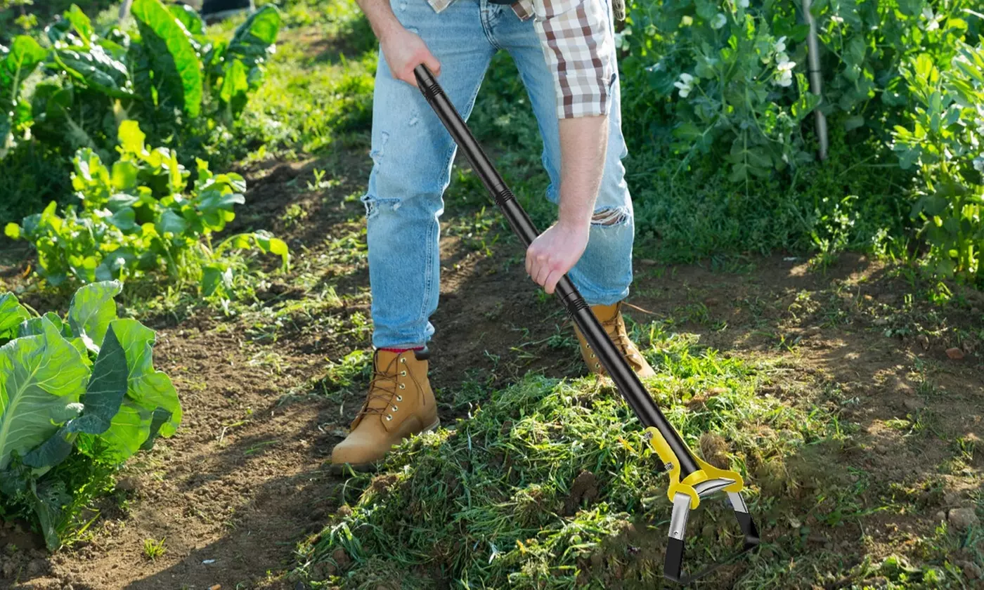 LakeForest Home Gardening & Irrigation Collection