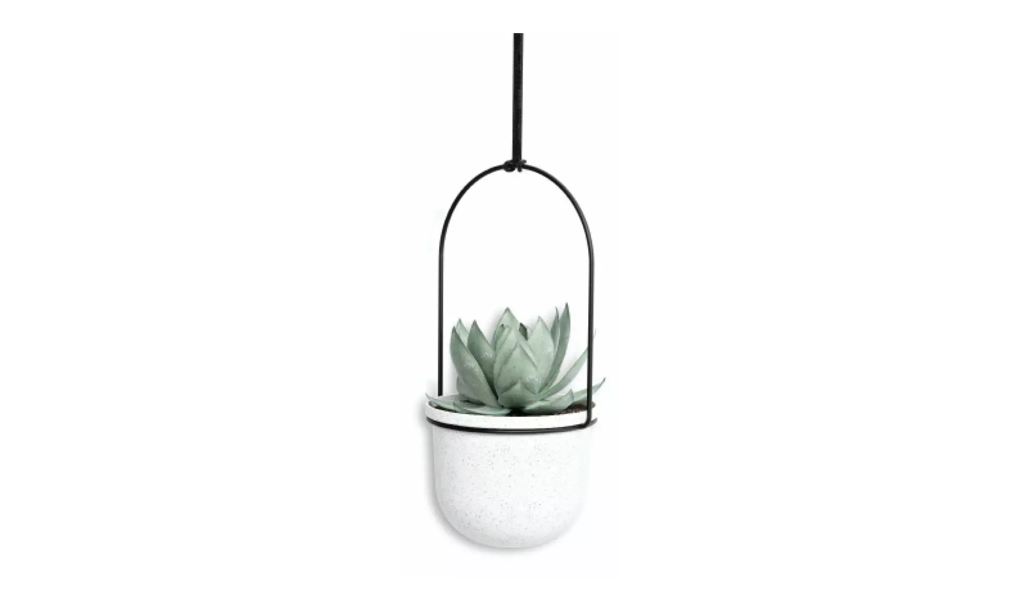 Umbra Triflora Hanging Planter White Black 5 Pack - Primary Image