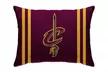 NBA Team Bed Pillow - Second Medium