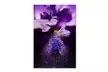 PIPA Fine Art 'Stigma of Iris' Canvas Art - Second Medium