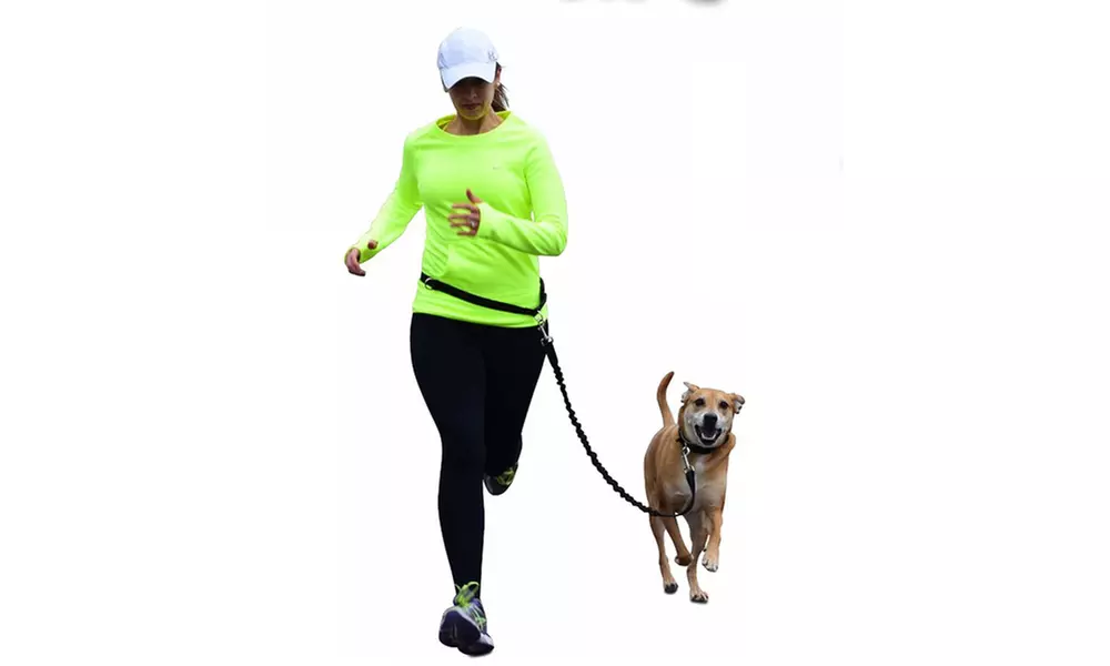Waloo Pets Hands-Free Running Dog Leash