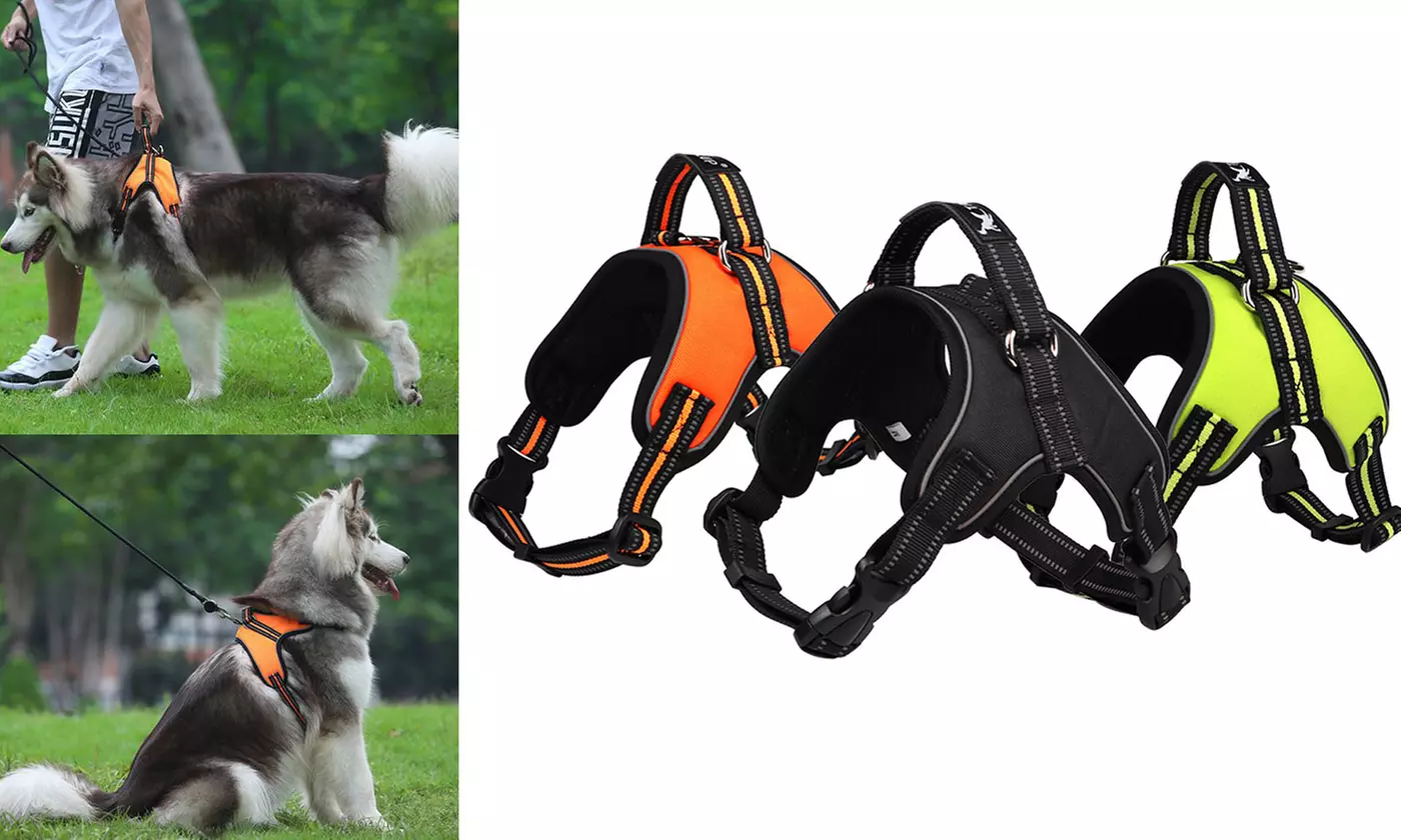 No-Pull Reflective Dog Vest Breathable Adjustable Pet Harness with Handle - Primary Image