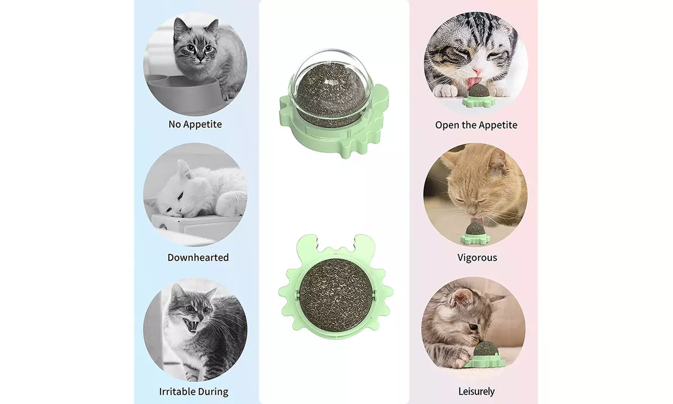 3 Pack Wall Rotating Catnip Balls for Indoor Cat Snack Ball