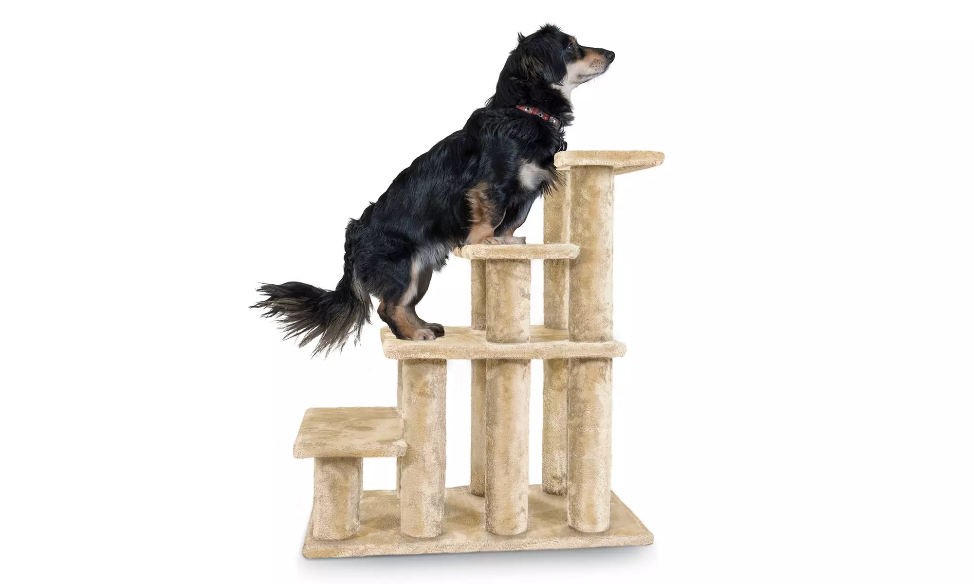 Steady Paws 3- and 4-Step Pet Stairs