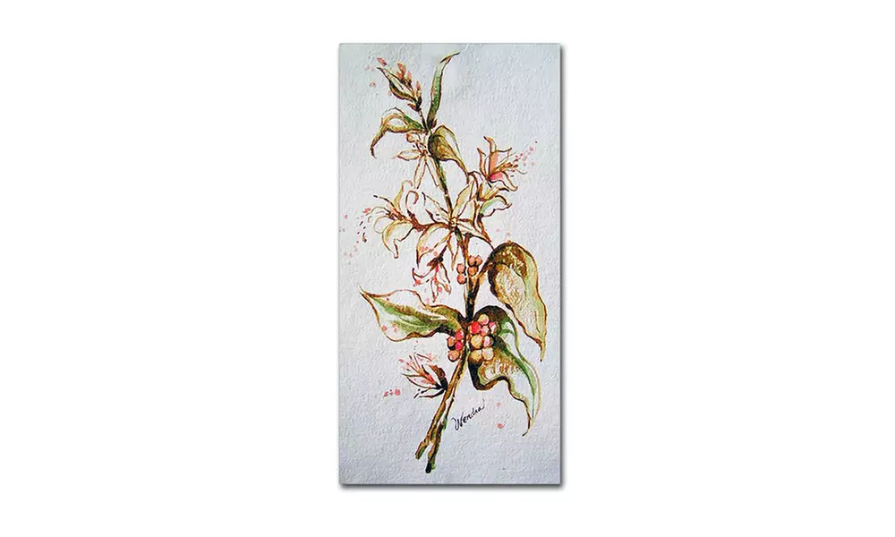Wendra 'Coffee Flowers' Canvas Art - Second Medium