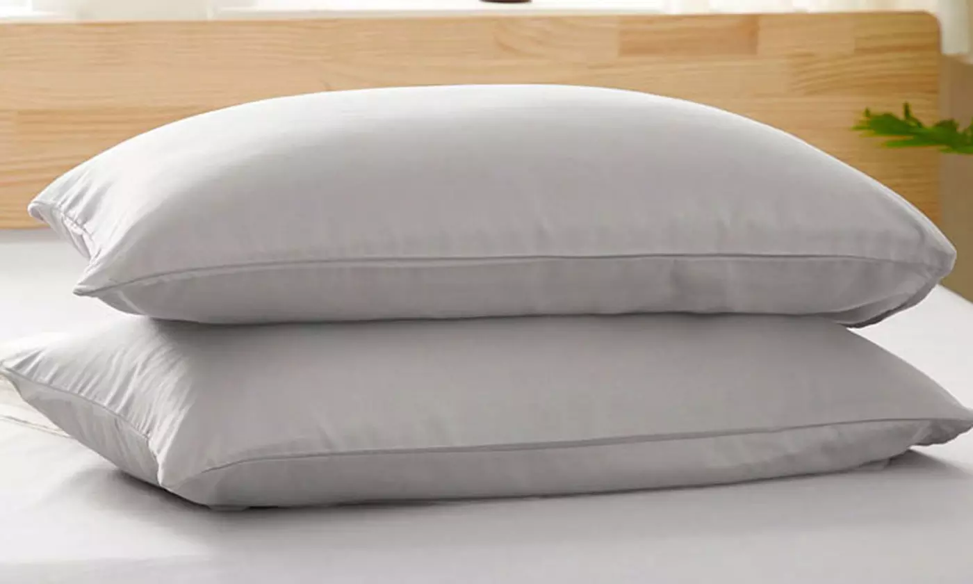 2 Pack Solid Pure Bed Pillow Case Covers Ultra Soft