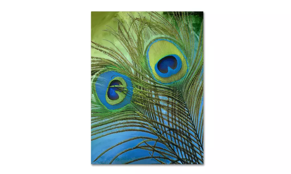 Color Bakery 'Peacock Candy I' Canvas Art - Primary Image